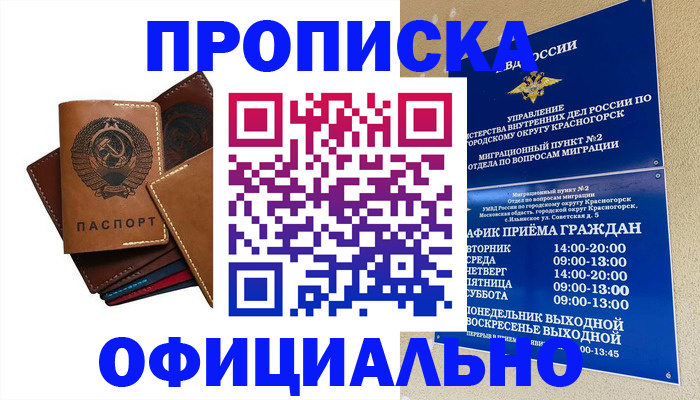 временная прописка в Волосово